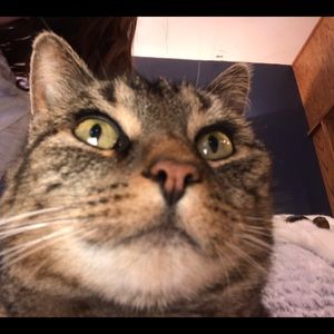 Meet your Posher, Mallory